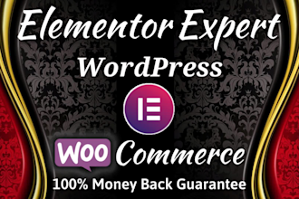 be elementor expert for wordpress website or woocommerce webshop