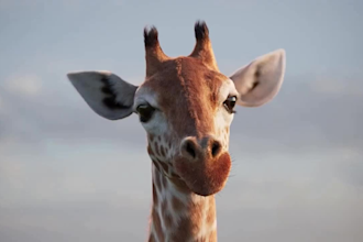 ultra realistic 3d animal model, 3d animal rigging, 3d animal animation for film