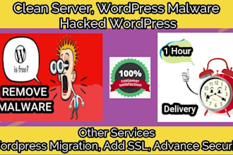 clean server, wordpress malware, hacked wordpress, in 1 hour