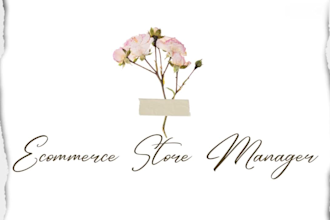 manage and handle your ecommerce store as a virtual assistant