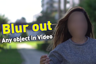 professionally blur faces or any object in video