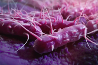 create scientifically accurate 3d medical animation