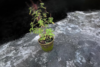 create accurate 3d models from your photos collection or video footage