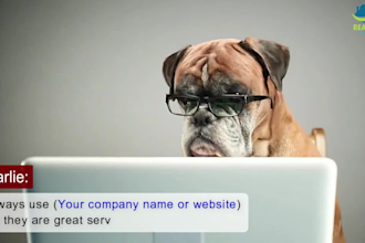 make this funny dogs video for business