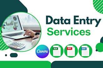 do accurate data entry, copy paste, pdf to word, excel