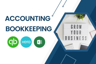 manage bookkeeping, do profit and loss, balance sheet in quickbooks and xero