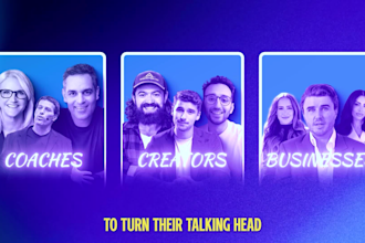 do professional youtube talking head video editing vsl video editor