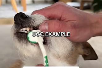 create dog ugc videos for your pet product or pet brand