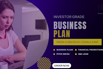 write a bespoke business plan, grants proposal, grant, financials, pitch deck