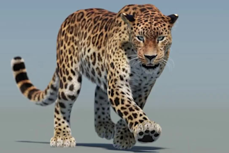 do realistic cgi animal model, 3d animal animation, 3d animal rigging, xgen fur
