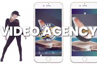 create highly converting facebook video ads for you