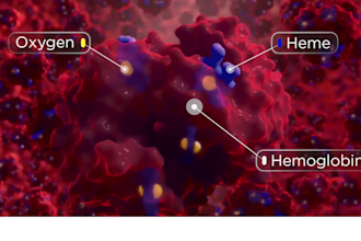 do 3d medical animation sickle cell pharmaceutical biotech moa explainer video