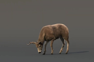 do 3d cgi animal animation, 3d animal model, 3d animal rigging, vfx compositing