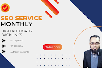 perform monthly SEO service and high authority backlinks