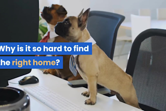 make a lead generating promo video for a real estate agent