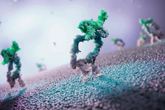 create 3d oncology mechanism of action moa medical animation