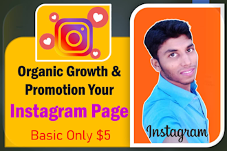 do fast organic growth marketing and promotion of your instagram page