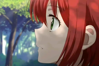 do 2d animated video based on your script in 2d japanese anime animation style