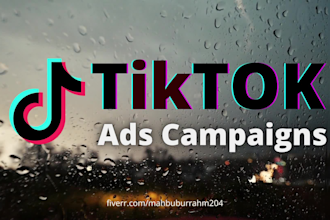 be your tiktok ads campaign manager and do tik tok ads, run tiktok ads campaign