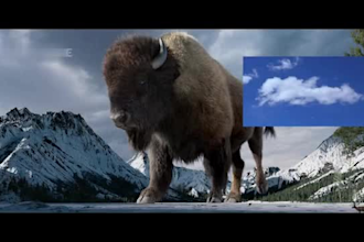 create realistic 3d animal animation, 3d model, cgi, 3d animal rigging fur, xgen