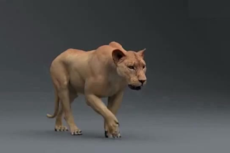 render realistic 3d animal animation, 3d animal creature, character rigging,