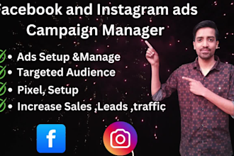 do high quality facebook and instagram ads campaign setup manager