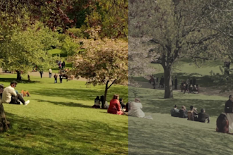 color grade your video as a professional colorist