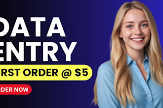 do excel data entry, web research, lead generation tasks