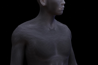 model your face and body in 3d space
