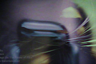 make sick music video for shoegaze, alternative, nu metal, and grunge
