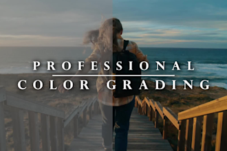 do professional color grading for your video or film