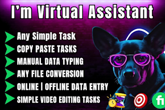 data entry, data collection, web research, copy paste, excel, word entry