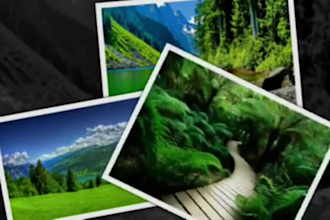 make you animated video collage of your photos