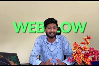 fix webflow bugs website fix webflow automation and bug fix webflow