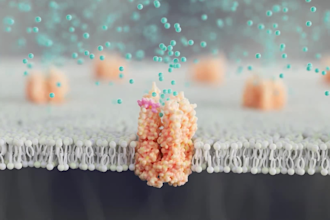 create realistic 3d medical animation for healthcare and biotech companies
