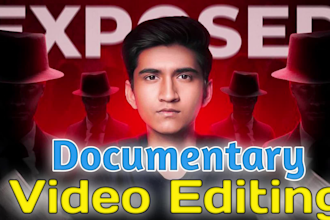 edit documentary like sunny v2 and video animation