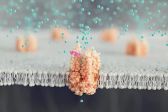 create realistic 3d medical animation for healthcare and biotech companies