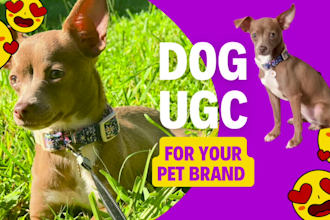 create small breed dog ugc video ads for your pet brand
