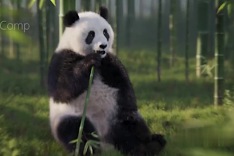 create stunning 3d animal animation rigging modeling and vfx for game and films