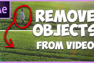remove objects from videos online fast, professional