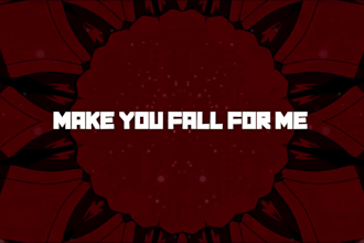 produce a professional animated lyrics video for you