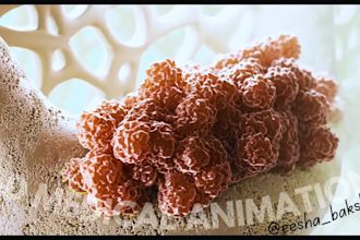 create 3d medical animation video anatomy explainer videos 3d surgery animations