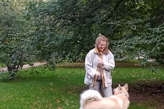 create dog ugc videos for your pet product or service