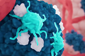 do 3d medical animation cellular pathway animation pharmaceutical animation
