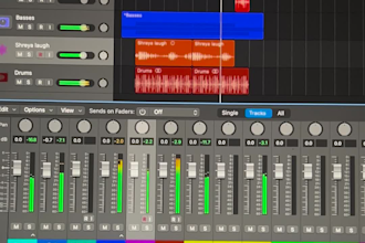 produce a song tailored to your vision