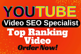 best youtube channel manager or top video ranking and video SEO specialist