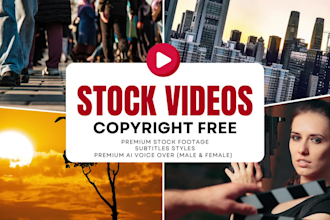 turn your script or article into video using stock footages