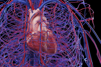 create moa animation human biotech animation diagnostic anatomy system video