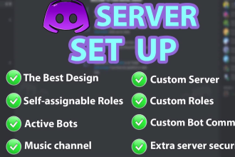 professionally set up discord server with best design