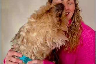 create high converting pet and family ugc video ads